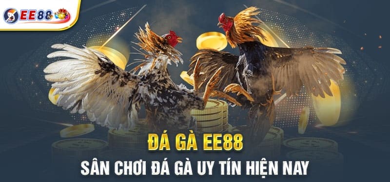 EE88 - Địa chỉ chơi đá gà uy tín